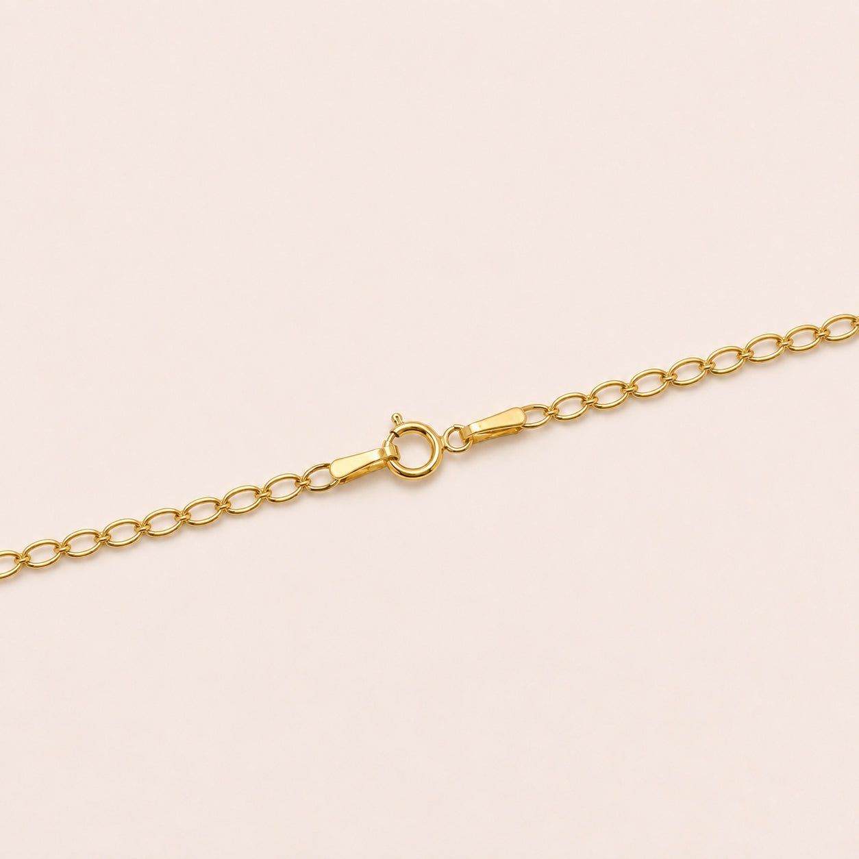 The Rising Curb Necklace