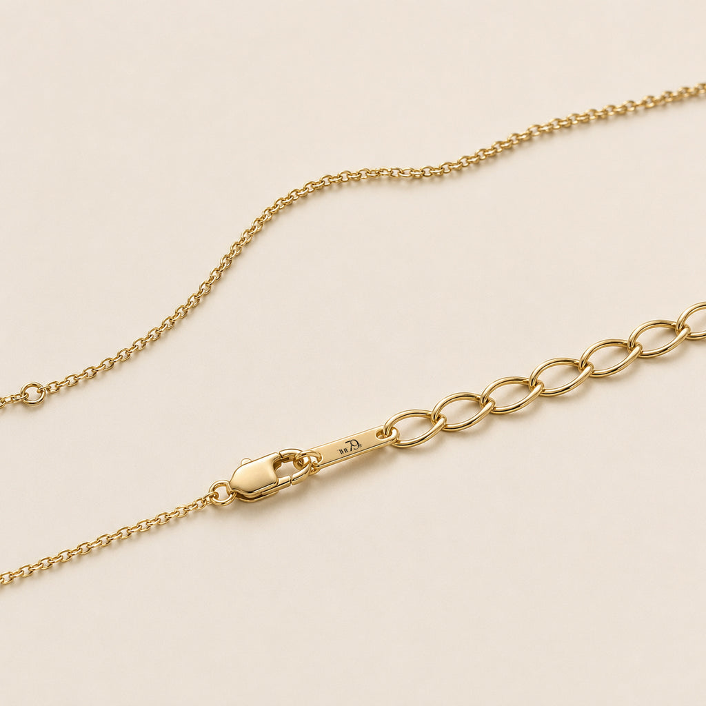 The One Diamond Necklace