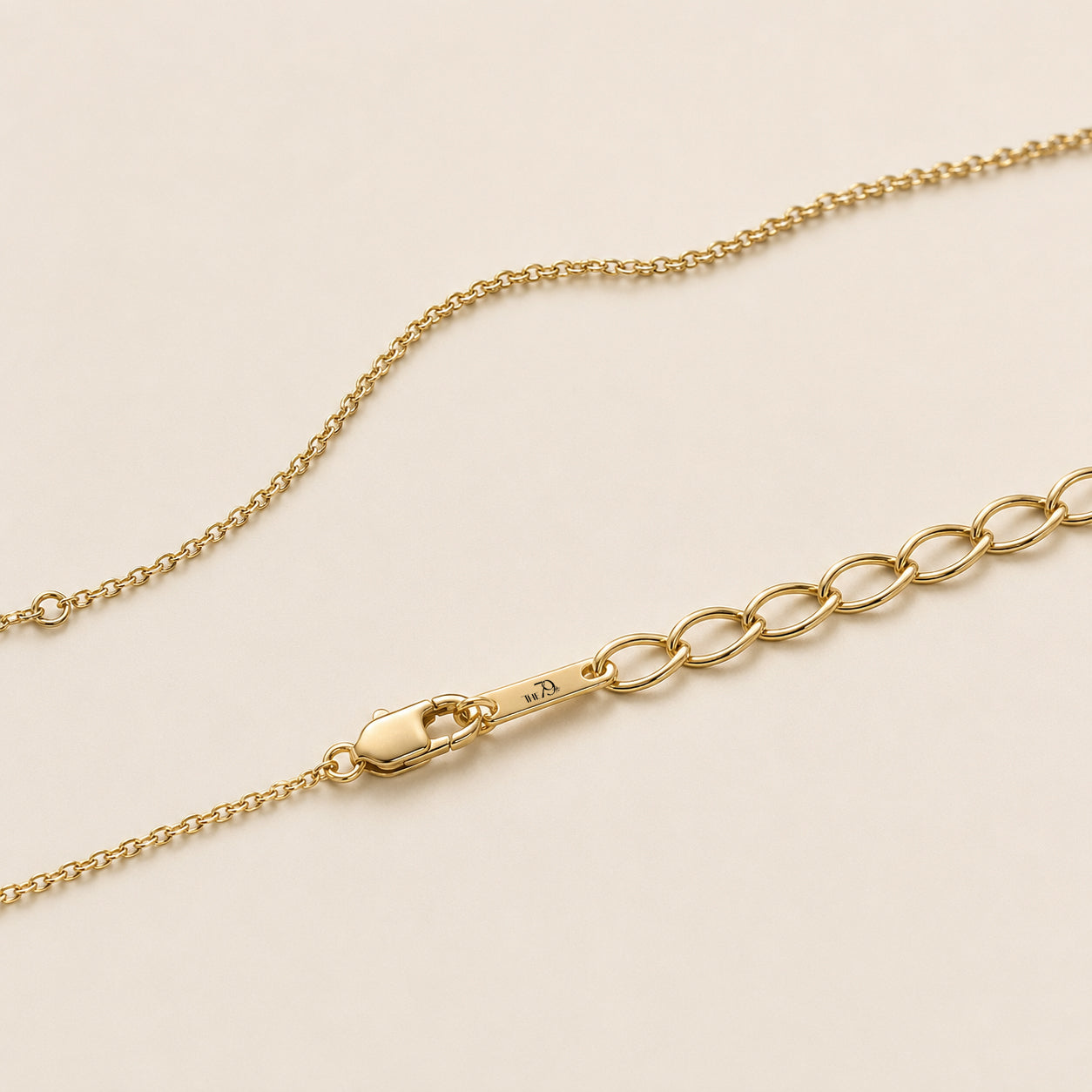 The One Diamond Necklace