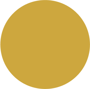 Solid Gold
