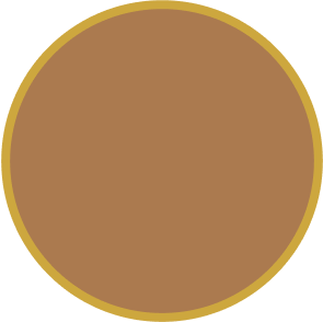 Gold Plated