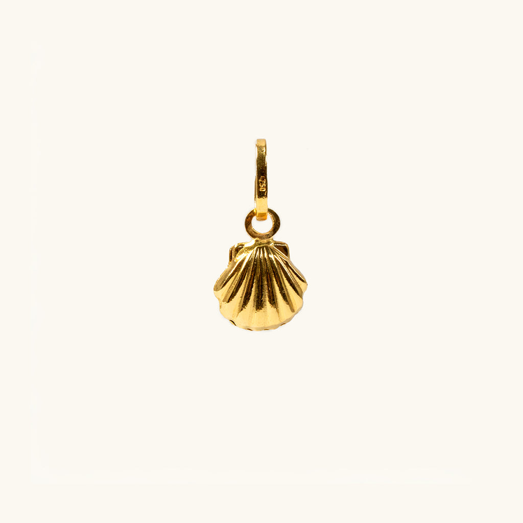 The Seashell